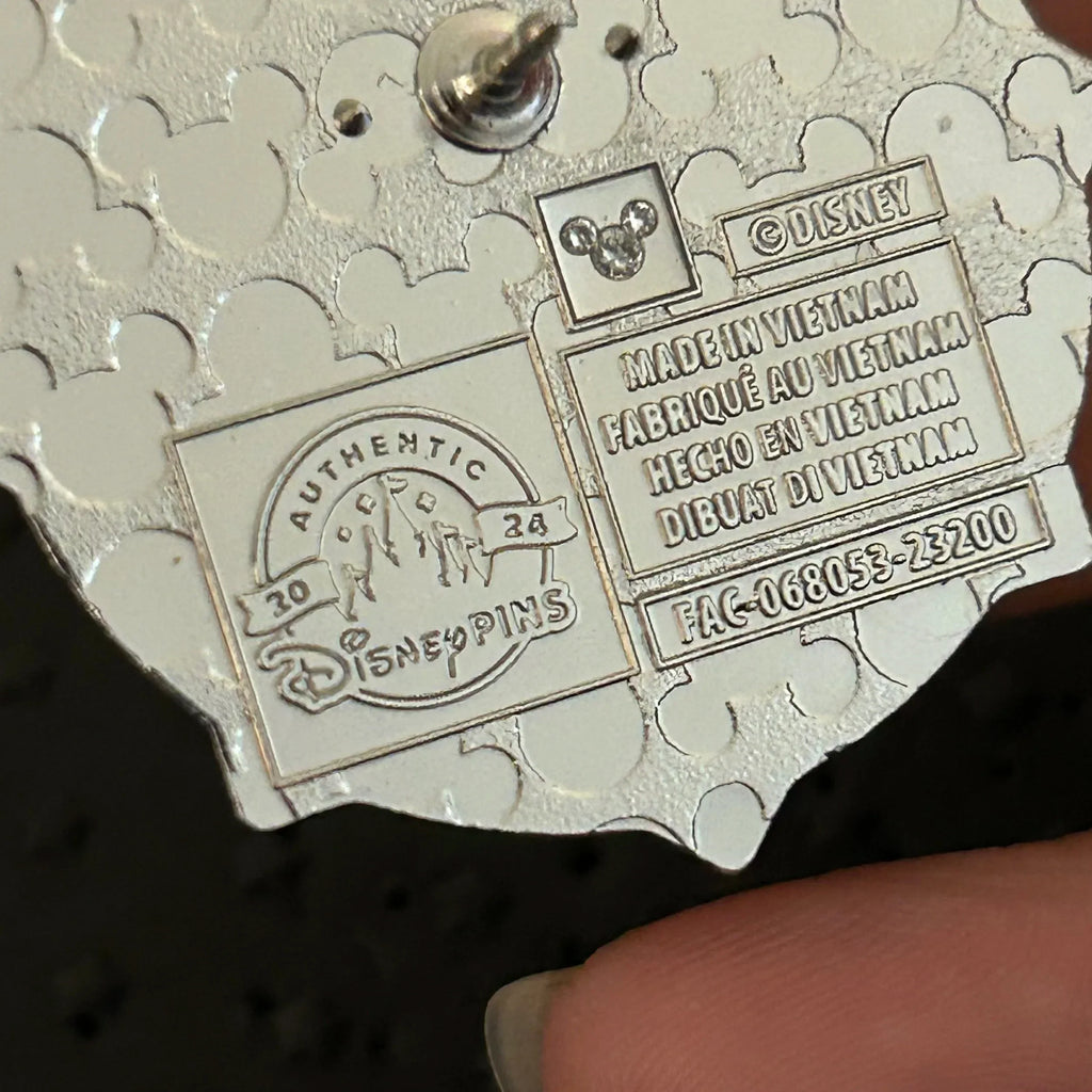 2024 - Asha and Star - Wish - Mystery Pin