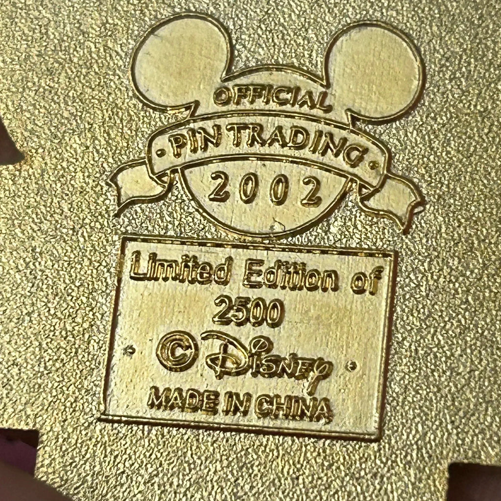 LE 2002 Flag day pin