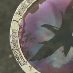 2019 - Banshee - Avatar - The Way Of Water - Disney Pin