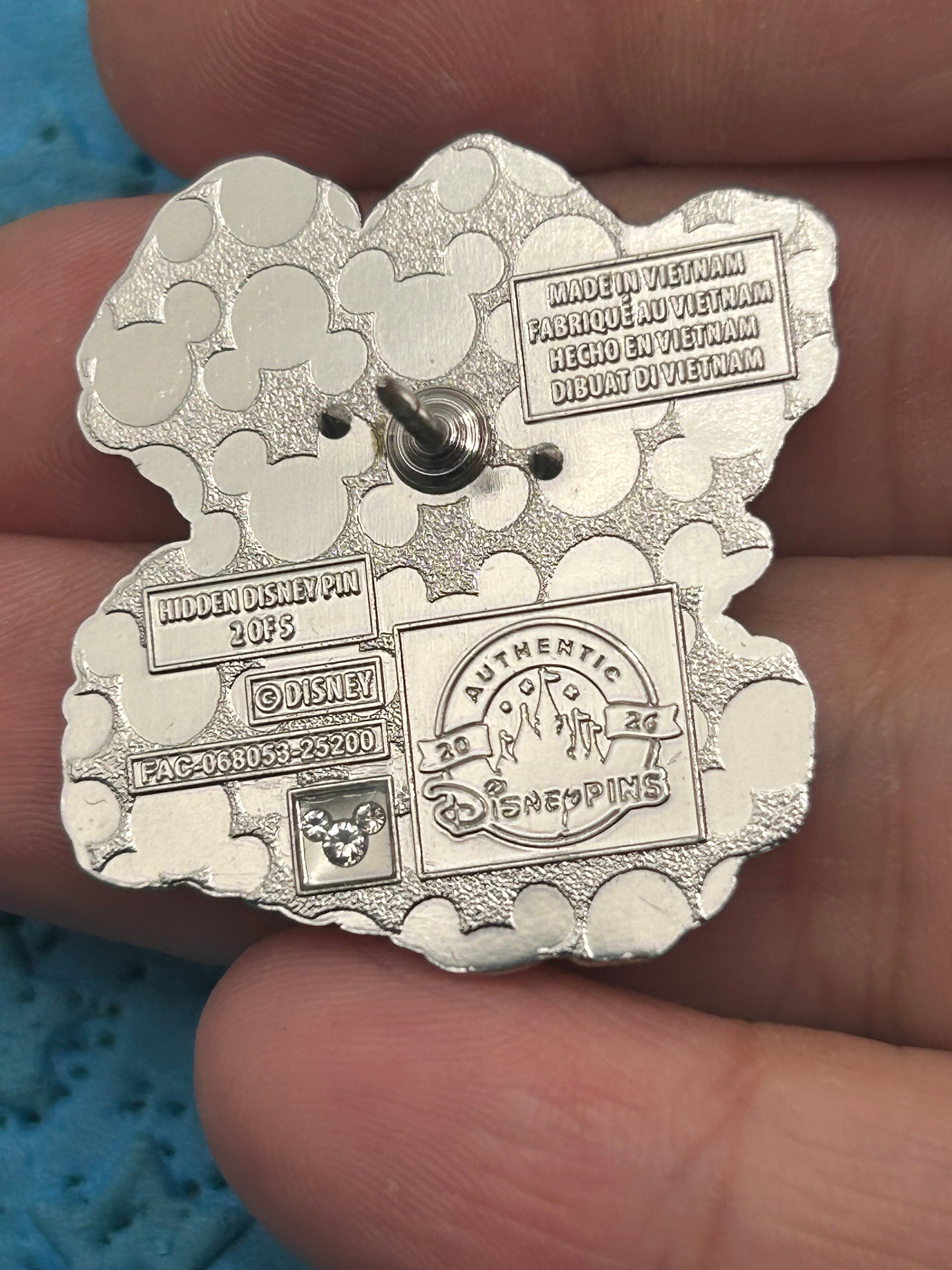 2026 - Chip - Winter - Hidden Disney - Disney Pin