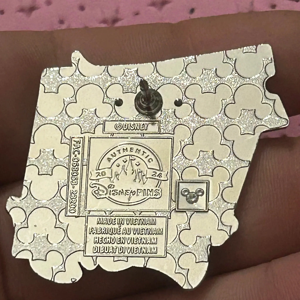 2024 - Chip and Dale - Ticket - Play In The Park - Pin