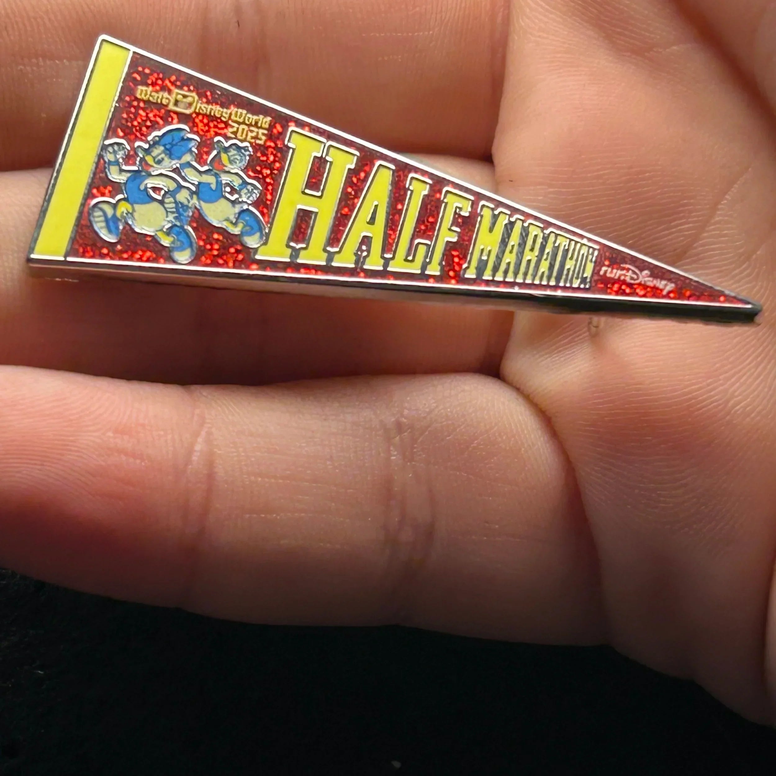 2025 - Donald and Daisy Duck - Half Marathon - WDW - LR - Banner - Disney Pin